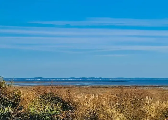4 Casa de Férias Gujan-Mestras